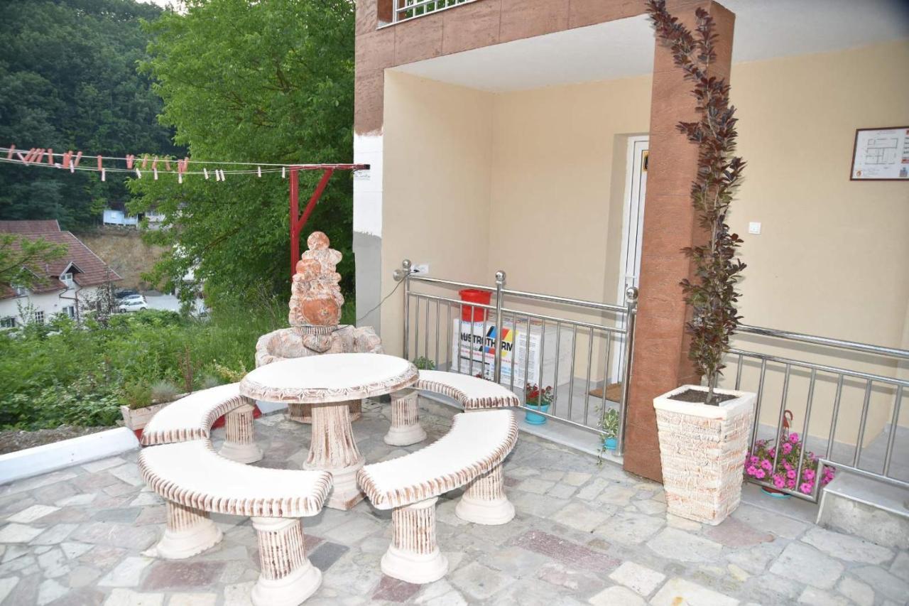 Vila Lux Nedeljkovic Gornja Trepca Čačak Exterior foto